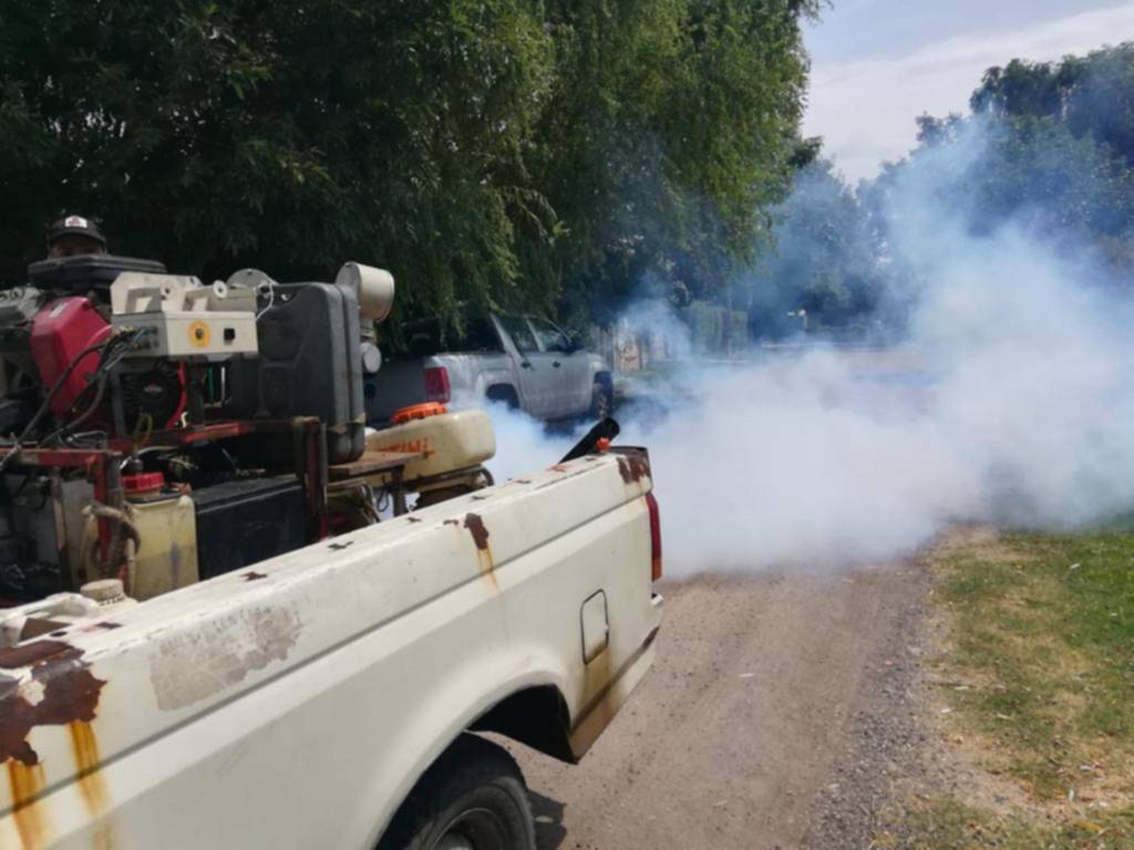 Confirman otros dos casos de dengue y en La Plata ya son 28 en el año: hay diez autóctonos