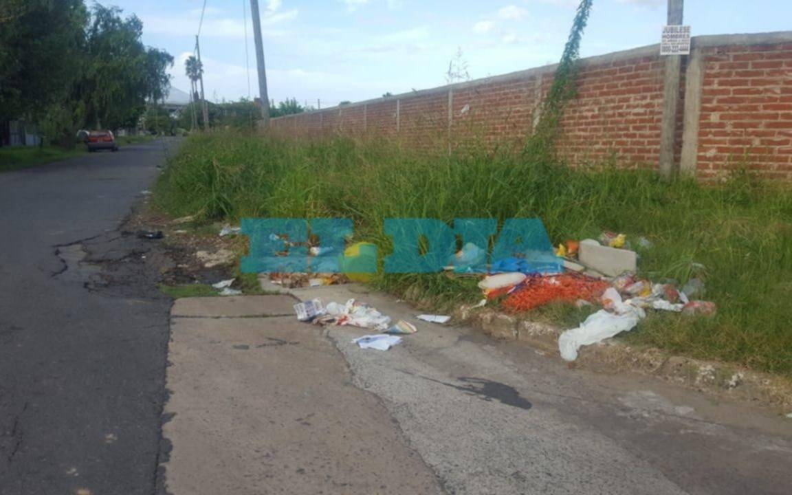 Persisten un basural y pastizales en 530 y 27