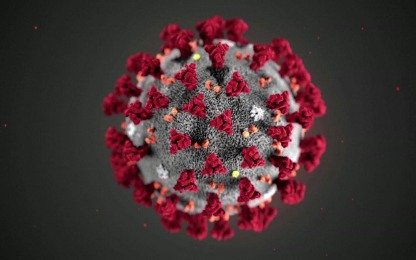 La OMS advierte que no está confirmado que contagiarse con coronavirus genere o no inmunidad