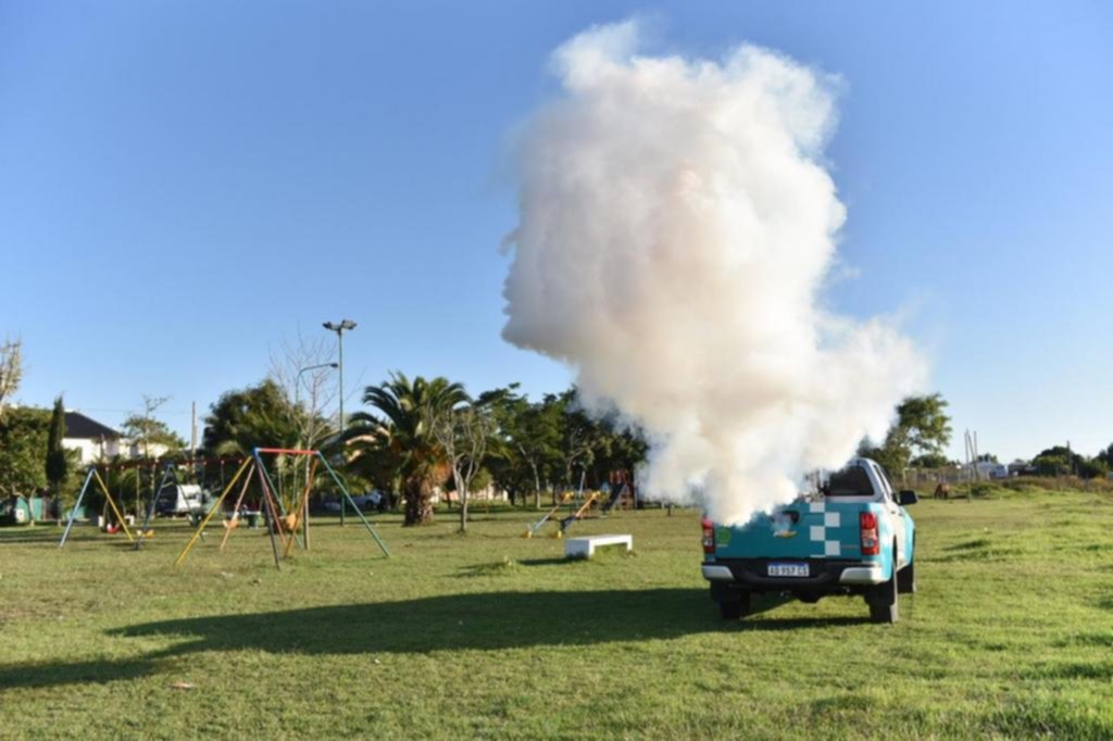 Cinco casos nuevos de dengue en la Región, todos autóctonos: ¿en qué barrios se registraron?