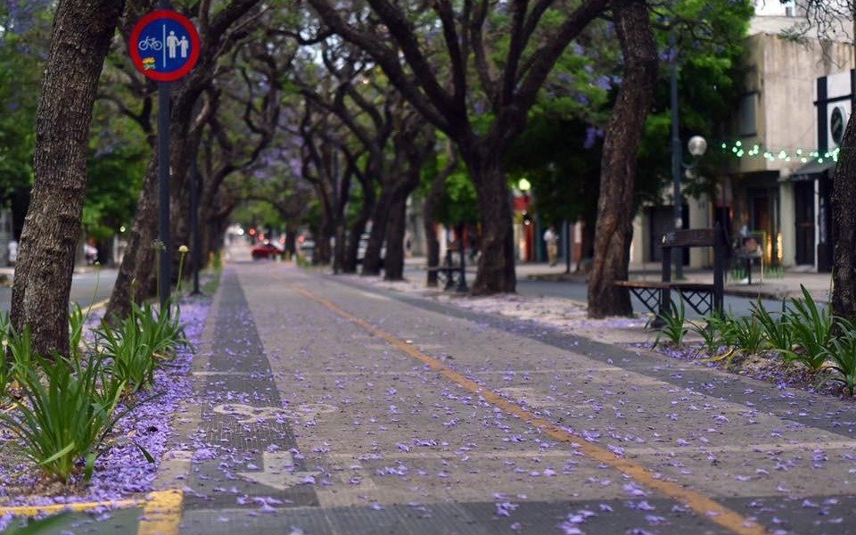 Sol y calor en otra jornada agradable en La Plata