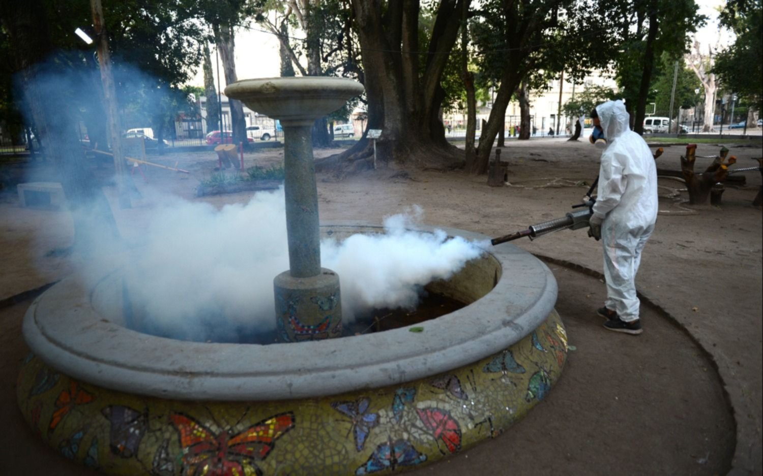 Preocupan los contagios de dengue en la Región: prevención y cómo combatir el mosquito