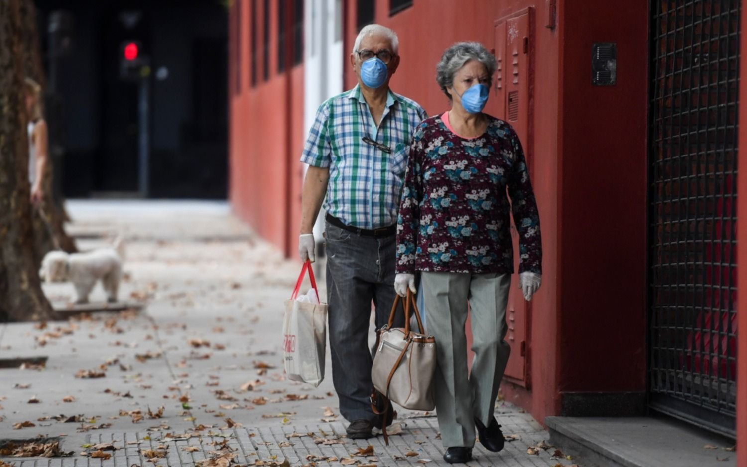Coronavirus en Argentina: 19 muertos, 55 nuevos casos y el total de infectados llega a 745