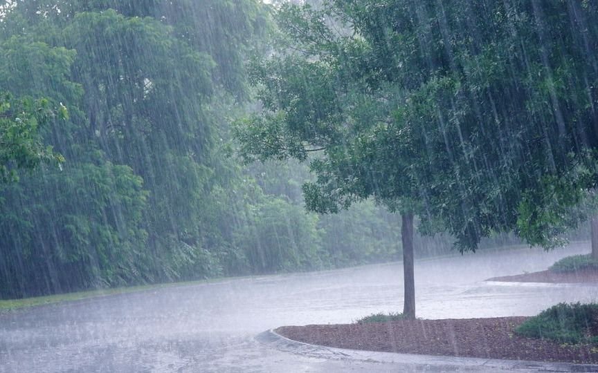 Probables lluvias para seguir la cuarentena