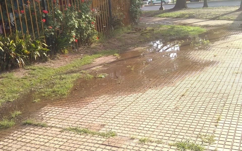 Peligro de dengue: una pérdida de agua en Plaza Olazábal preocupa a los vecinos