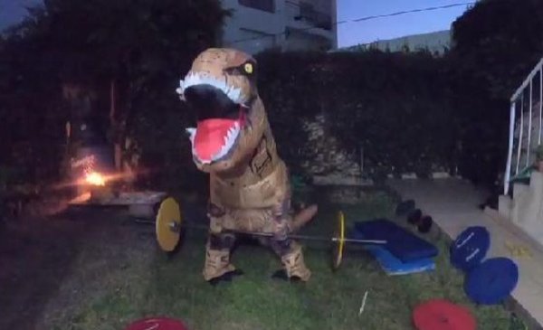 La naturaleza avanza ante la ausencia de humanos: apareció un dinosaurio en un patio platense La naturaleza avanza ante la ausencia de humanos: apareció un dinosaurio en un patio platense