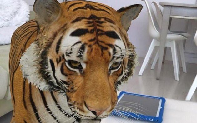 Animales 3D de Google: cómo meter un león, tigre, lobo o tiburón