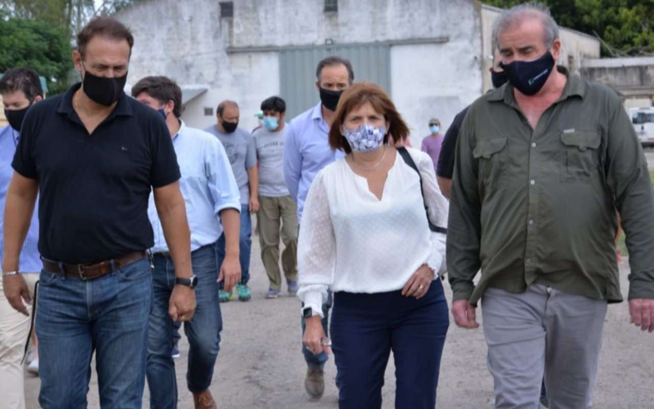 Patricia Bullrich recorrió el cordón frutihorticola de La Plata