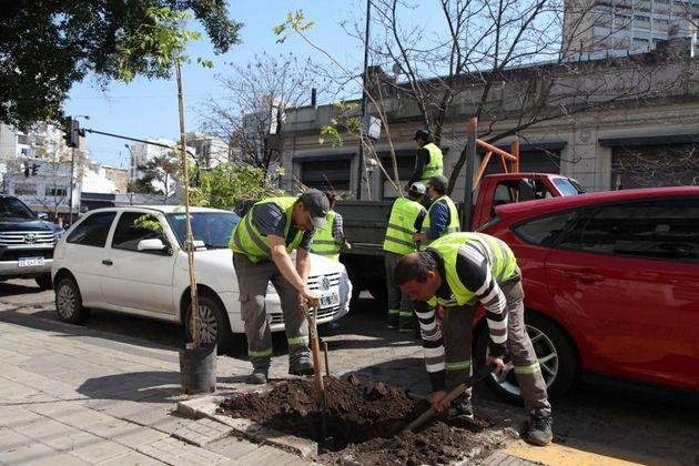 Garro busca eliminar el sistema de cooperativismo en la Comuna local