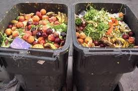 Casi un 20% de los alimentos se desperdician todos los años
