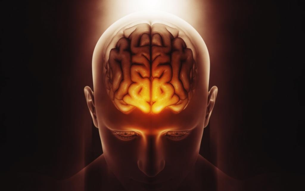El virus y el cerebro olvidado