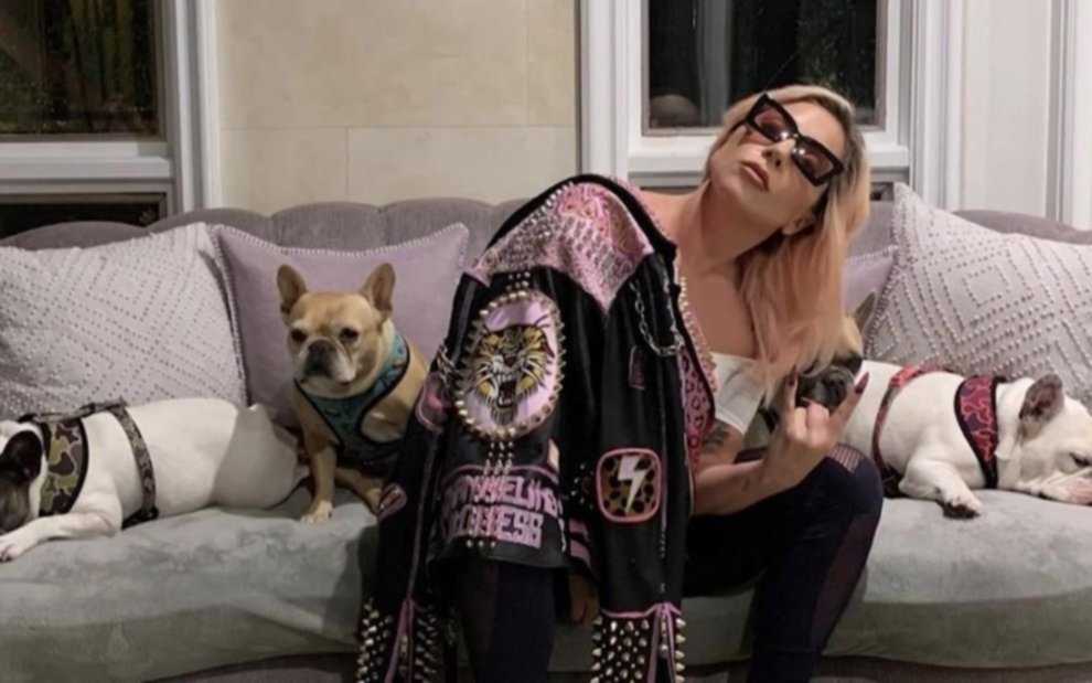 Lady Gaga no pagó la recompensa a quien encontró sus dos perros perdidos