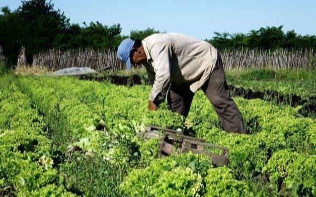 Los productores hortícolas de la Región piden mayor seguridad: convocan mañana a una conferencia