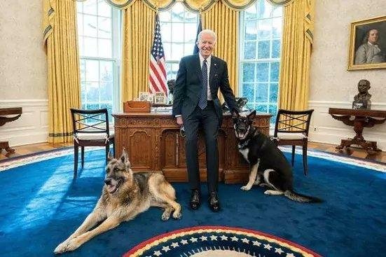 “Desalojan” a los perros de Biden de la Casa Blanca