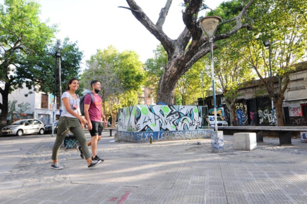 Sin resolución sobre el Jacarandá de 8 y 61: le ponen un cerco provisorio