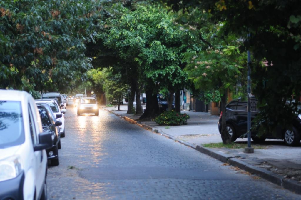 Ingresaron por el techo para desvalijar una casa