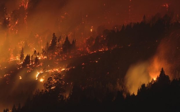 Arde la Patagonia: Alberto Fernández viajó a Chubut para sobrevolar las zonas afectadas