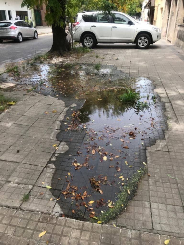 "¿Vereda o laguna?": reclamo por filtración en Barrio Hipódromo