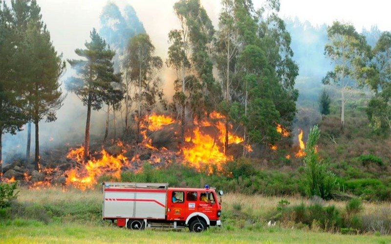 Incendio en las sierras de Tandil: lograron controlarlo y aseguran que fue intencional