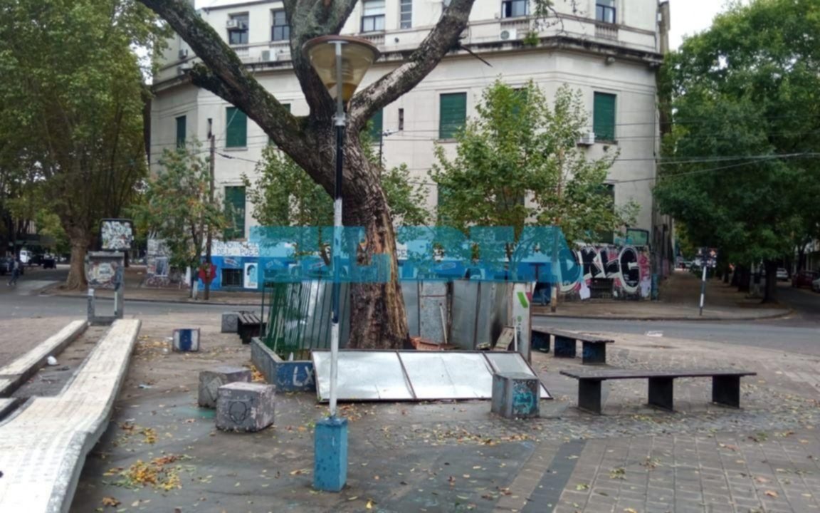 Nueva denuncia por fogatas en el jacarandá de 8 y 61