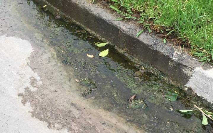 Una pérdida de agua ya lleva más de medio año en 1bis y 82