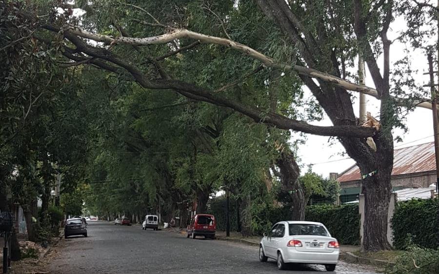 El viento tuvo en alerta a la zona costera de la Región