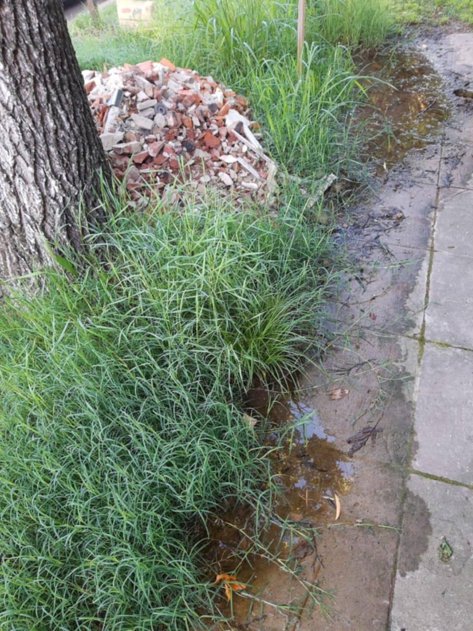 Reclamo por una pérdida de agua que cumple un año
