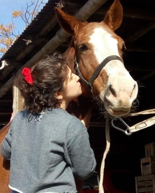 Caballos, herramientas, dinero y alhajas, el botín de nuevos atracos