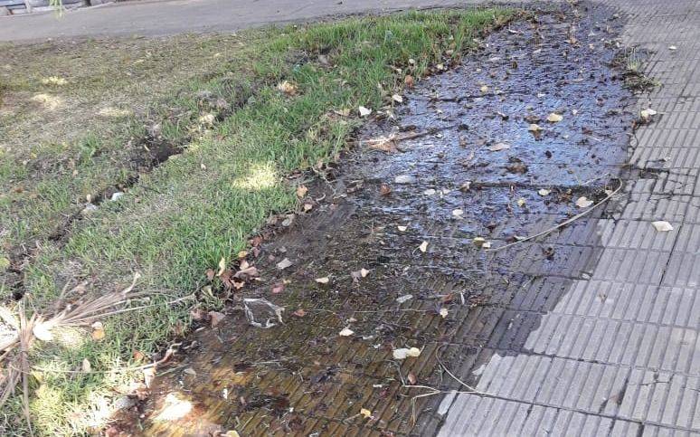 Una pérdida de agua en Tolosa que acumula múltiple reclamos