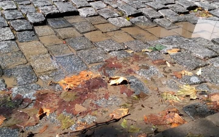 Reclamo por una pérdida de agua en 9 entre 64 y 65 que lleva 4 meses