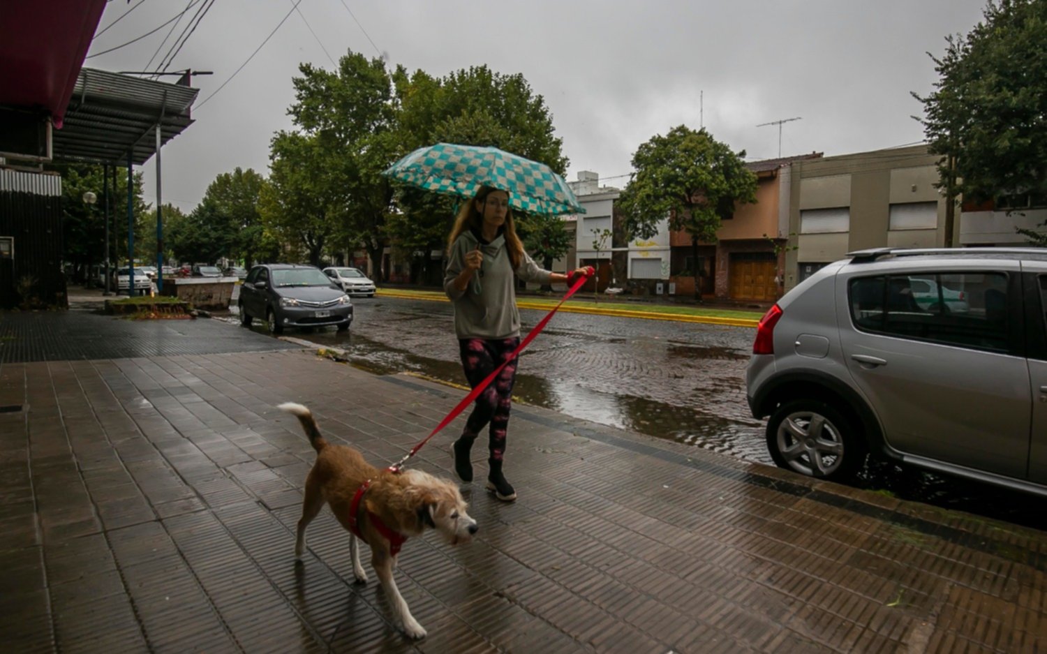 Lluvias y tormentas en La Plata: cuánta agua cayó hasta el momento