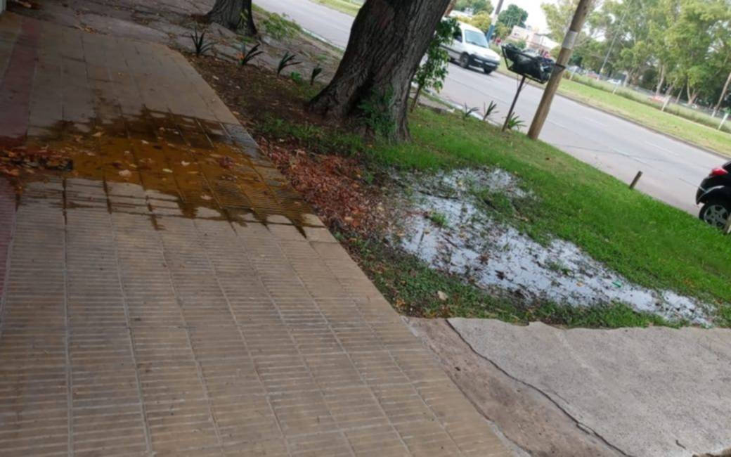 Charcos de agua por una pérdida y en las casas sin servicio