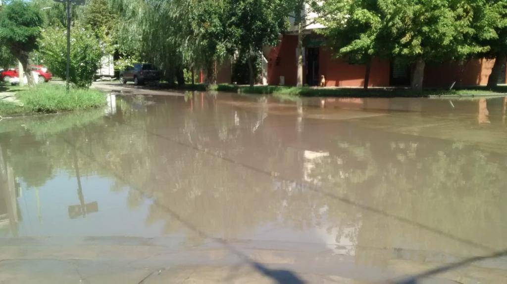 En Altos de San Lorenzo conviven con una laguna