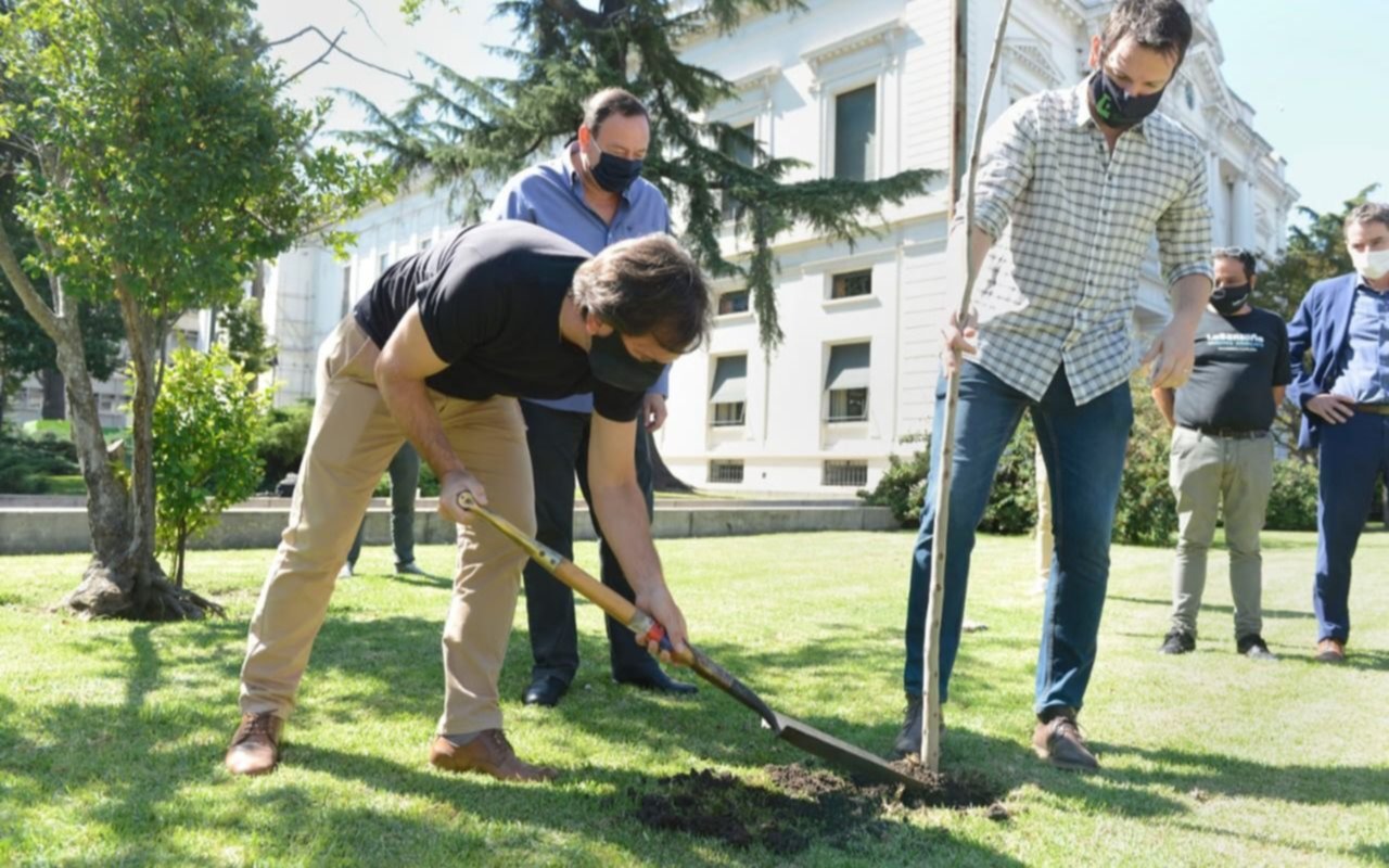 El Banco Provincia se sumó a la "Plantemos Memoria" en la Casa Matriz de La Plata