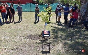 Plantan un árbol apelando a la memoria