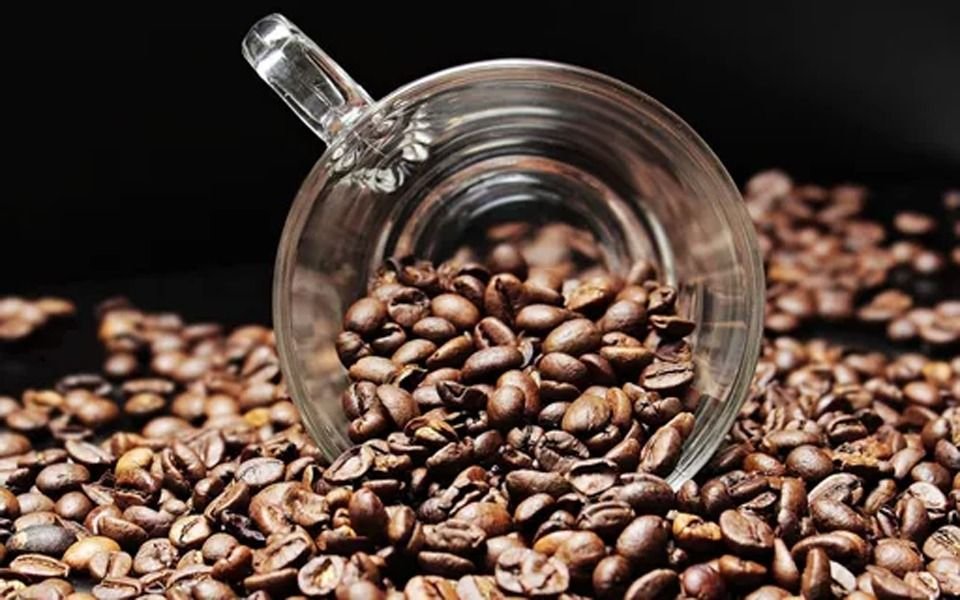 Bloomberg alerta que en el mundo podría faltar café por la caída de la producción