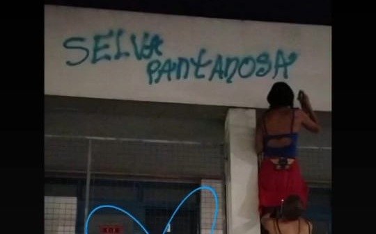Indignación por grafiteras que pintaron un jardín y una inmobiliaria en 8 y 59
