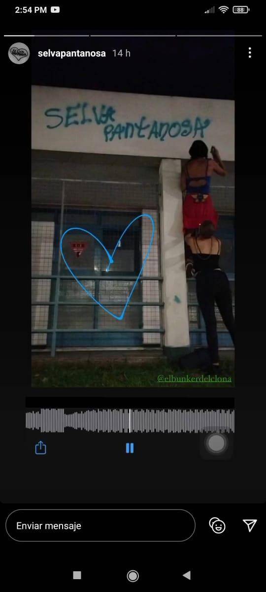 Vecinos “detectaron” a grafiteras que dañaron la fachada del Jardín 951