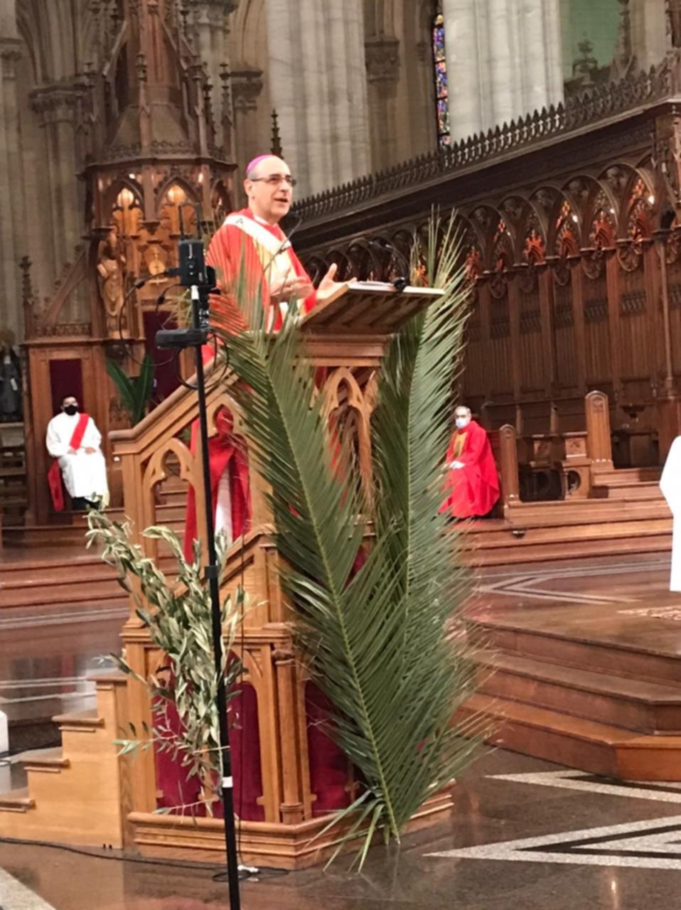 Bendición de ramos en la Catedral y otras virtuales en el inicio de Semana Santa
