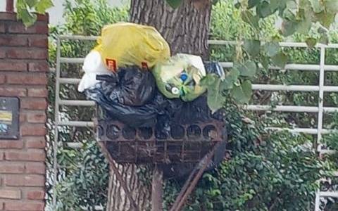 Vecinos de Sicardi aseguran que están sin recolección de basura desde el 22 de marzo