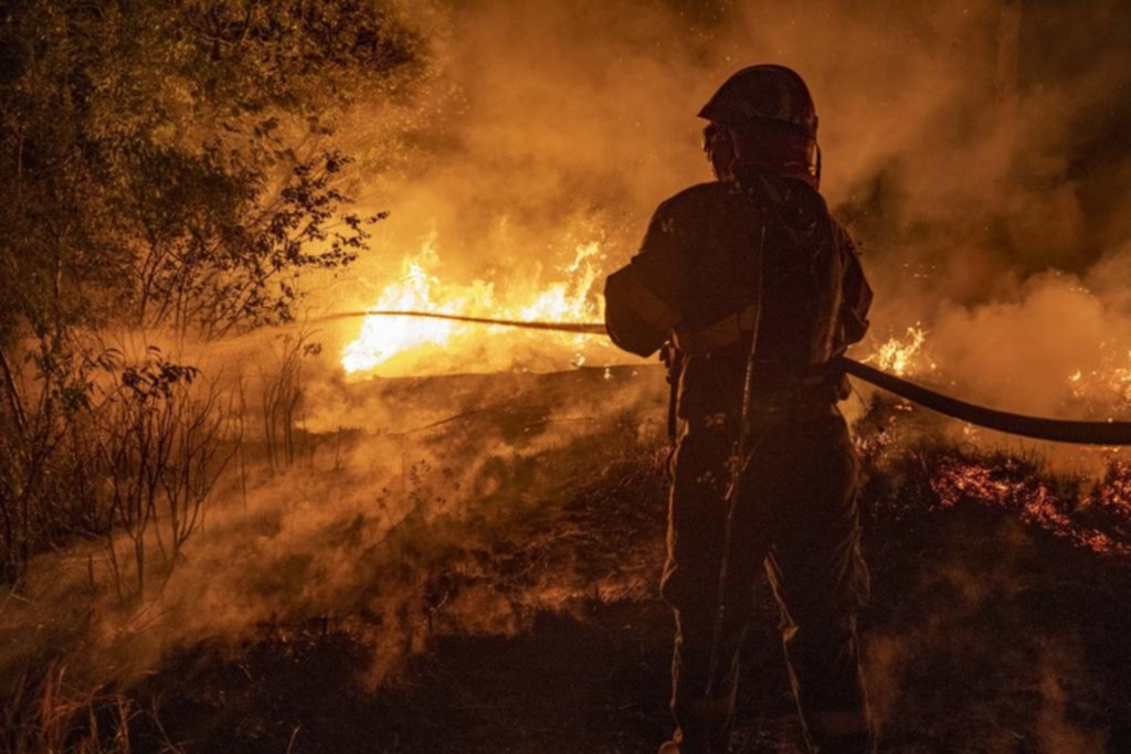 Fuego en Corrientes: se perderá más del 50% de la miel