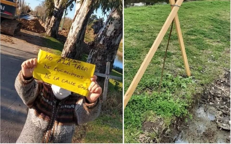 Realizan un evento en defensa de los árboles de Ensenada