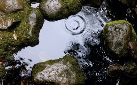 Llega la lluvia a La Plata: sábado nublado, con tormentas y máxima de 26 grados