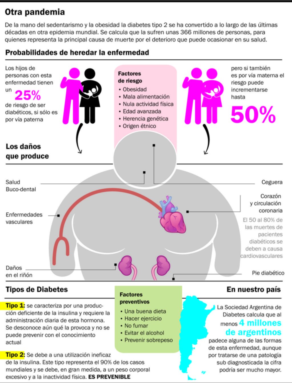 Cada vez más diabetes: un hallazgo abre expectativas