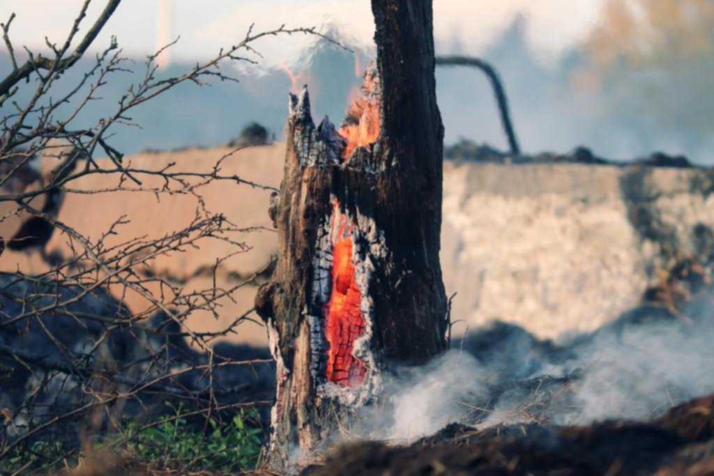 Incendios forestales: hay relación química entre el humo y la disminución del ozono