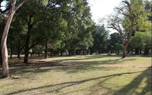 Denuncian tala en el Parque Pereyra y piden que no sea "explotado"
