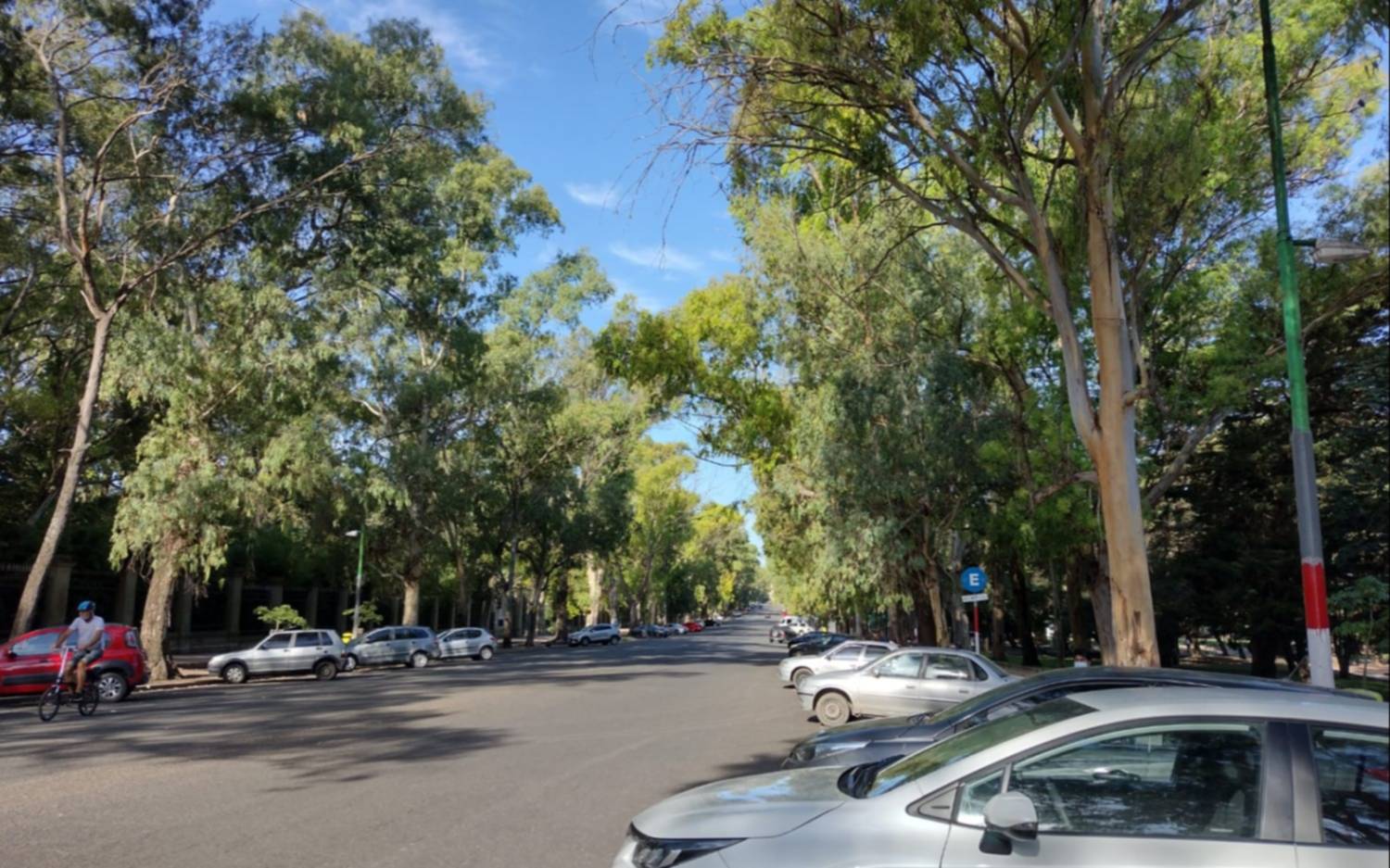 Caminantes del Bosque denuncian robos frente a una cámara de seguridad