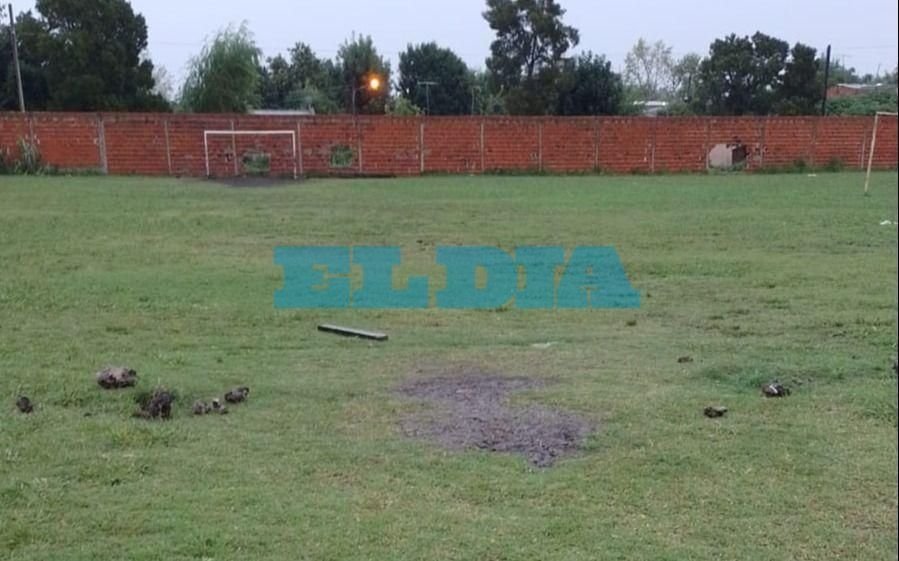 La inseguridad golpeó de nuevo a Asociación Nueva Alianza: se robaron hasta el arco