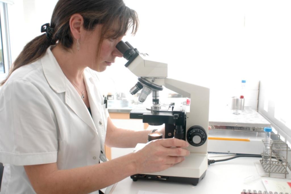Covid y fertilidad: el virus afecta la función ovárica