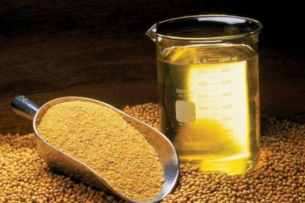 Harina y aceite de soja: el Gobierno cerró las exportaciones